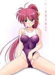 bare_shoulders blue_eyes blush breasts competition_swimsuit covered_nipples large_breasts legs long_hair lyrical_nanoha mahou_shoujo_lyrical_nanoha mahou_shoujo_lyrical_nanoha_a's mahou_shoujo_lyrical_nanoha_strikers narutaki_shin one-piece_swimsuit pink_hair ponytail signum skin_tight solo spread_legs swimsuit swimsuit_aside thighs translated 