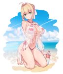  bikini breast_hold fate/grand_order jason_dai saber_extra see_through swimsuits wet 