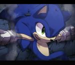  1boy against_wall animal_ears blue_fur bruise derivative_work gloves green_eyes hedgehog hedgehog_ears highres injury isa-415810 letterboxed looking_to_the_side male_focus one_eye_closed open_mouth rock screencap_redraw signature smile smoke snout sonic sonic_the_hedgehog sonic_x wall white_gloves 