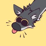  1:1 absurd_res anthro big_eyes blep blush canid canine canis flunky flunky_(character) fur grey_body grey_fur hi_res inner_ear_fluff male mammal multicolored_body multicolored_fur simple_background solo tongue tongue_out tuft two_tone_body two_tone_fur wolf 