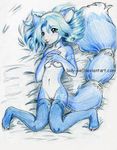  krystal lady_owl star_fox tagme 