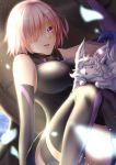  1girl animal_on_leg black_gloves black_legwear black_leotard breasts breasts_apart elbow_gloves fate/grand_order fate_(series) fou_(fate/grand_order) gloves hair_over_one_eye large_breasts leotard mash_kyrielight open_mouth petals pink_hair purple_eyes shiny shiny_hair short_hair sitting solo sumomo7317 thigh_strap thighhighs 