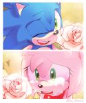  1boy 1girl amy_rose animal_ears artist_name crying crying_with_eyes_open derivative_work dress flower green_eyes hedgehog hedgehog_ears highres holding holding_flower isa-415810 nature one_eye_closed open_mouth pink_fur rose screencap smile snout sonic sonic_the_hedgehog sonic_x tears teeth tongue tree 