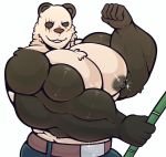  a0nmaster a0nsecretroom anthro beastars biceps big_biceps big_breasts big_muscles breasts clothed clothing giant_panda gouhin hi_res huge_breasts huge_muscles huge_pecs hyper hyper_muscles male mammal muscular nipples pecs scar solo topless ursid 