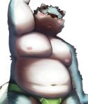  2013 anthro belly blush bulge canid canine canis clothing domestic_dog kemono kumamikan male mammal moobs navel nipples overweight overweight_male simple_background solo underwear white_background 