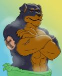  2018 abs anthro canid canine canis domestic_dog looking_at_viewer male mammal mastiff molosser muscular muscular_male nanoff rottweiler scar shaved_fur simple_background solo tattoo towel towel_only wet wet_body 