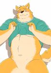  2019 anthro belly blush canid canine canis clothed clothing domestic_dog hi_res humanoid_hands kemono kumamikan male mammal open_shirt shirt simple_background slightly_chubby solo topwear white_background 