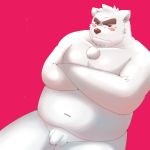  1:1 2012 absurd_res anthro balls belly blush flaccid fur genitals hi_res kemono kumamikan male mammal moobs navel overweight overweight_male penis polar_bear red_background simple_background small_penis solo ursid ursine white_body white_fur 