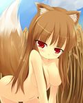 animal_ears bad_id bad_pixiv_id breasts brown_hair holo kuro_(be_ok) long_hair medium_breasts nude red_eyes solo spice_and_wolf tail wheat wolf_ears 