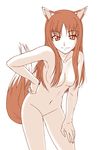  animal_ears breasts flat_color holo long_hair misnon_the_great nude solo spice_and_wolf tail wolf_ears 