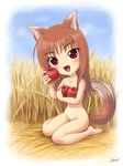  animal_ears apple barefoot brown_hair chibi fang food fruit holding holding_food holding_fruit holo kagehara_hanzou long_hair nature nude red_eyes solo spice_and_wolf tail wheat wolf_ears 