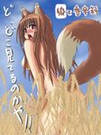  animal_ears blush breasts brown_hair holo long_hair nude red_eyes shouseki_(pixiv75889) solo spice_and_wolf tail translated wheat wolf_ears 