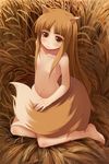  animal_ears barefoot chinchickrin feet flat_chest hands holo long_hair nude solo spice_and_wolf tail wheat wolf_ears 