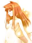  animal_ears breasts brown_hair hair_censor hair_over_breasts holo long_hair nude red_eyes solo spice_and_wolf taha tail wolf_ears 