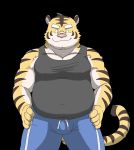  anthro beakbum belly bottomwear bulge clothing cute_fangs felid hi_res humanoid_hands kemono male mammal overweight overweight_male pantherine pants pink_nose solo tiger 
