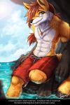  anthro canid canine clothing english_text fox hi_res male mammal penguinexperience solo swimwear text unknown_artist url vanyan 
