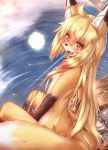  :3 ahoge anthro big_tail black_nose blonde_hair blush breasts brown_body brown_fur butt canid canine cheek_tuft countershading cute_fangs detailed_background dipstick_ears dipstick_tail facial_tuft female flower_petals fluffy fluffy_tail fox full_moon fur glistening gloves_(marking) hair hi_res high-angle_view horokusa0519 hot_spring inner_ear_fluff kemono leg_markings long_hair looking_at_viewer mammal markings monotone_hair moon multicolored_body multicolored_ears multicolored_fur multicolored_tail nude onsen open_mouth open_smile outside partially_submerged petals reflection sitting slim small_breasts smile socks_(marking) solo tuft water water_reflection wet white_body white_countershading white_fur yellow_body yellow_eyes yellow_fur 
