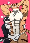  anthro bearlovestiger13 blue_eyes blush bulge canid canine canis clothing domestic_dog duo felid gou_(character) hi_res hug husky jockstrap kuugo_(character) lagoon_lounge male male/male mammal muscular nordic_sled_dog nude pantherine press simple_background spitz tiger underwear 