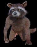  3d_(artwork) anthro crouching digital_media_(artwork) disney genitals guardians_of_the_galaxy hi_res male mammal marvel nude penis procyonid raccoon rocket_raccoon rockyrcoon solo 