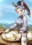  1girl :d animal_ears bottle bow bowtie brown_eyes brown_hair collared_shirt day donkey_(kemono_friends) donkey_ears dress dress_shirt extra_ears fingernails flour food grey_apron grey_hair high_ponytail kemono_friends kemono_friends_2 long_hair long_sleeves looking_at_viewer milk milk_bottle multicolored_hair open_mouth outdoors outstretched_hand render_hatch rolling_pin shirt smile solo upper_body white_hair white_shirt wing_collar 