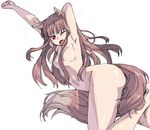  ;o animal_ears armpits breasts brown_hair hand_behind_head holo koma_(qqq111) long_hair nude one_eye_closed red_eyes solo spice_and_wolf tail yawning 