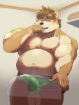  2020 anthro balls_outline belly blush brown_body brown_fur brush brushing brushing_teeth bulge canid canine canis clothing domestic_dog erection erection_under_clothing fur genital_outline genitals hi_res humanoid_hands kemono launcher_r male mammal moobs navel nipples overweight overweight_male penis penis_outline solo underwear 