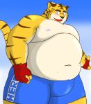  2013 anthro belly blush bottomwear clothing felid humanoid_hands kemono male mammal moobs navel nipples overweight overweight_male pantherine shorts simple_background solo tiger yanaka 