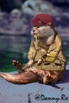  argentina clothing edit feral fur hi_res looking_away lutrine male mammal military military_uniform mustelid real shopped sitting solo uniform 