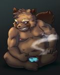  2020 anthro belly brown_body brown_fur bulge c22h20o13 canid canine clothing fur hi_res humanoid_hands kemono male mammal moobs navel nipples overweight overweight_male raccoon_dog sakusan_kc simple_background sitting solo tanuki underwear 
