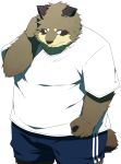  2012 anthro bodily_fluids bottomwear brown_body brown_fur canid canine chizu clothing fur hi_res humanoid_hands kemono male mammal overweight overweight_male raccoon_dog shirt shorts simple_background solo sweat tanuki topwear white_background 