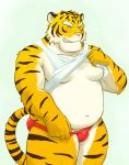  2008 anthro belly blush bulge clothed clothing eyes_closed felid humanoid_hands kemono male mammal manya moobs navel nipples open_shirt overweight overweight_male pantherine pink_nose shirt solo tiger topwear underwear 