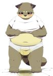  2012 anthro belly blush bodily_fluids brown_body brown_fur canid canine chizu clothing fur genital_fluids humanoid_hands kemono male mammal navel overweight overweight_male peeing raccoon_dog shirt simple_background solo tanuki topwear underwear urine wet white_background 