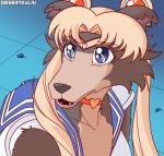  2020 anthro beastars blonde_hair blue_eyes canid canine canis clothed clothing cosplay crossover crossover_cosplay desertkaiju digital_media_(artwork) female hair hi_res juno_(beastars) mammal meme redraw sailor_moon_(series) solo wig wolf 