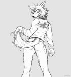  anthro backsack balls beastars black_and_white bottomless butt canid canine canis clothed clothing genitals holding_tail lawyerdog legoshi_(beastars) looking_back male mammal monochrome perineum portrait rear_view sketch solo standing sweater three-quarter_portrait topwear wolf 