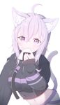  1girl :3 absurdres ahoge animal_ear_fluff animal_ears bangs black_hoodie blush breasts cat_ears cat_girl cat_tail closed_mouth commentary_request drawstring eyebrows_visible_through_hair food food_on_face hair_between_eyes highres holding holding_food hololive hood hood_down hoodie long_hair long_sleeves looking_at_viewer medium_breasts midriff navel nekomata_okayu onigiri pants purple_eyes purple_hair rice rice_on_face simple_background sleeves_past_wrists smile solo starfox1015 tail tail_raised virtual_youtuber white_background white_pants 