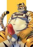 2020 absurd_res anthro balls belly blush bodily_fluids cum erection felid fur genital_fluids genitals hi_res humanoid_genitalia humanoid_hands humanoid_penis kemono kumamikan male mammal moobs navel nipples overweight overweight_male pantherine penis simple_background solo tiger yellow_body yellow_fur 