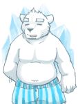  2013 3:4 anthro black_nose clothing eyes_closed fur humanoid_hands kemono male mammal overweight overweight_male polar_bear solo underwear ursid ursine v2wolf white_body white_fur 