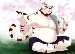  2013 anthro belly bottomwear clothing felid fur humanoid_hands male mammal moobs nat10730 navel overweight overweight_male pantherine shorts sitting solo tiger white_body white_fur 