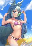  1girl :p absurdres animal_ear_fluff animal_ears armpits arms_up banana_boat bangs bare_arms bare_shoulders bikini blue_eyes blue_hair blue_sky blush breasts cameltoe closed_mouth cloud collarbone commentary_request day eating food food_on_breasts frilled_bikini frills highres holding holding_food long_hair low-tied_long_hair melting navel original outdoors popsicle purple_bikini signature sitting skai_kun sky small_breasts smile solo splashing stomach swimsuit tail tongue tongue_out very_long_hair water 