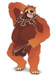 4_fingers 4_toes absurd_res ailurid anthro averagezebraboy brown_clothing chubby_anthro chubby_male clothing feet fingers harness hi_res jockstrap male mammal mostly_nude pinup pose red_panda sagethebear slightly_chubby solo toes underwear