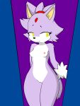 absurd_res anthro areola blaze_the_cat felid feline female forehead_gem fur hi_res hikaridraws mammal navel nude purple_body purple_fur red_areola sega solo sonic_the_hedgehog_(series) yellow_eyes