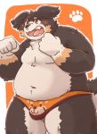  2020 anthro belly black_body black_fur black_nose blush brown_body brown_fur bulge canid canine canis clothing domestic_dog fur kemono kota&acute; male mammal moobs navel overweight overweight_male solo underwear white_body white_fur 