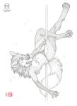  2020 anthro canid canine chest_tuft claws clothed clothing dancing dipstick_tail female gloves_(marking) inner_ear_fluff kacey leg_markings mammal maned_wolf markings multicolored_tail nipples panties pole pole_dancing socks_(marking) solo topless tuft underwear 
