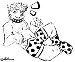 anthro belly bodily_fluids canid canine canis clothing collar dick_slip ear_piercing genitals grin male mammal olifawn original_character_do_not_steal overweight overweight_male pecs penis piercing polka_dot_underwear smile solo spiked_collar spikes sweat underwear wolf