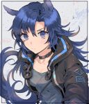  1girl animal_ear_fluff animal_ears black_collar black_jacket blue_eyes blue_hair breasts collar collarbone commentary_request copyright_request grey_background grey_shirt highres jacket long_hair looking_at_viewer noshima open_clothes open_jacket shirt small_breasts solo tail upper_body very_long_hair 