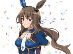  1girl admire_vega_(umamusume) animal_ears blue_dress breasts brown_eyes brown_hair closed_mouth commentary_request confetti dress hair_between_eyes hair_ribbon highres horse_ears long_hair looking_at_viewer medium_breasts necktie pi-tan_(minmin2431) ribbon simple_background smile solo umamusume upper_body very_long_hair white_background white_necktie white_ribbon 