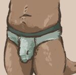 anthro belly briefs bulge canid canine clothing cumguzzler5669 detailed_bulge flaccid genital_outline genitals male mammal penis penis_outline slightly_chubby solo underwear