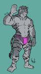  anthro bulge clothing domestic_cat felid feline felis hi_res hunterramirez male male/male mammal muscular nipples pantherine smile solo stripes tiger underwear 