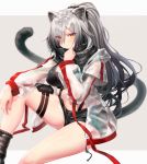  1girl absurdres animal_ear_fluff animal_ears arknights bangs bare_legs black_scarf black_shorts blush breasts brown_eyes cat_ears cat_tail commentary_request crop_top eyebrows_visible_through_hair feet_out_of_frame grey_background hair_over_one_eye hand_up highres jacket large_breasts long_hair long_sleeves looking_at_viewer midriff navel open_clothes open_jacket partial_commentary pouch scarf schwarz_(arknights) see-through short_shorts shorts silver_hair sitting solo stomach sukemyon tail thigh_strap thighs two-tone_background very_long_hair 