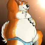 1:1 2015 akita anthro biped blep canid canine canis claws clothed clothing digital_drawing_(artwork) digital_media_(artwork) domestic_dog eyebrows finger_claws fur hand_behind_head male mammal moobs mosin multicolored_body multicolored_fur navel obese obese_anthro obese_male orange_body orange_fur overweight overweight_anthro overweight_male paws simple_background spitz standing tail thick_thighs tongue tongue_out underwear underwear_only